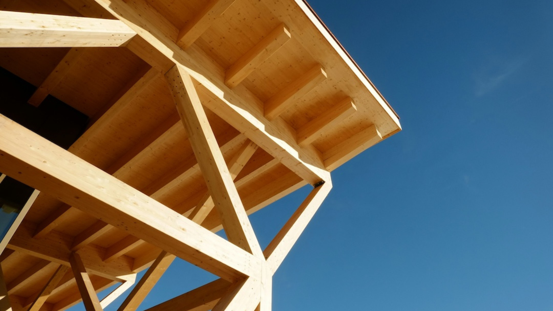 Holzbau vom Profi
